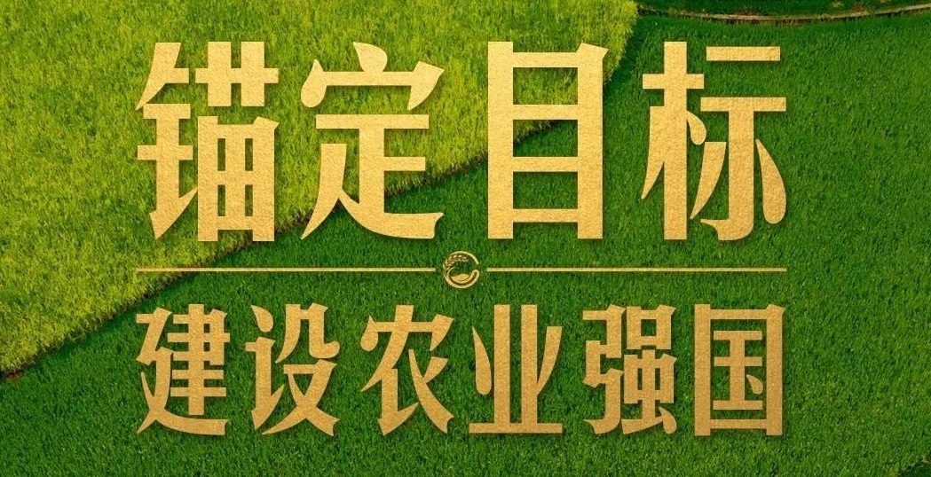 點燃現(xiàn)代農(nóng)業(yè)創(chuàng)新引擎，釋放農(nóng)業(yè)領(lǐng)域新質(zhì)生產(chǎn)力